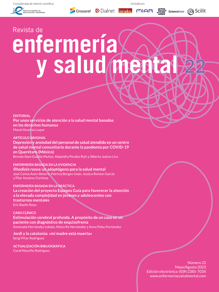 Revista de Enfermería y Salud Mental. Número 22, mayo/agosto de 2023